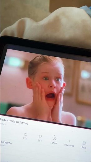 Home Alone Kevin Screaming