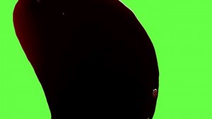 Realistic Blood Elements Green Screen Stock Footage Video (100% Royalty-free) 3645865601 | Shutterstock