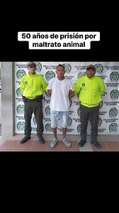 Lo que ves aquí está conmoviendo al mundo entero… directo al corazón”😭😭😭 | El Tiburon