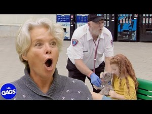 Le chien est comme nous... | Juste Pour Rire Les Gags