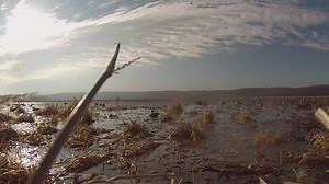 2.8K views · 46 reactions | Layout boat hunting at it's finest! | County Line Boats | Facebook