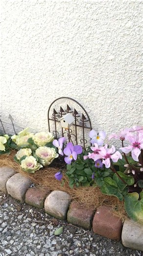全然大きくならないと思ってたのに… #flowers #ガーデニングおしゃれ #庭作業