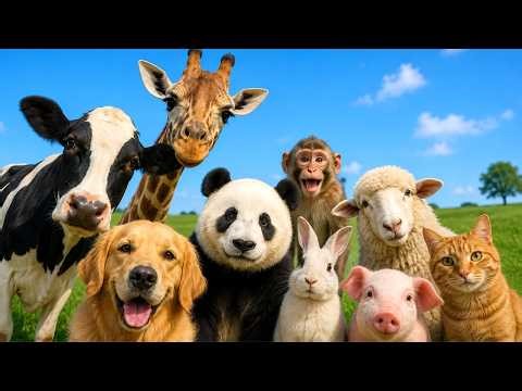 30 Cute Animal Sounds for Kids 🐱🐮 | Learn Animal Names and Sounds Monkey , Cat , cow #AnimalsForKids