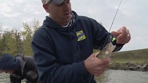 178 reactions · 34 shares | The Shockwave Rattle System combines sight and sound to trigger more bites in all water types! The Google Eye Jig can be rigged with your favorite Kalin's plastics, or with live baits, making it one of the most versatile fish catching lures in your tackle box. | ACME Tackle Company | Facebook