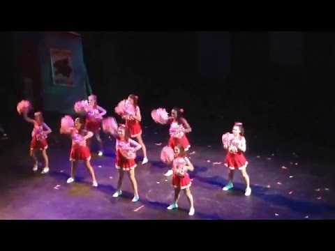 Cheerleader Wildcat Cheer High School Musical Act 2