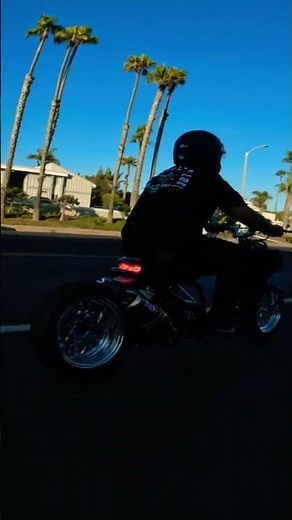 Rare Honda ruckus spotted