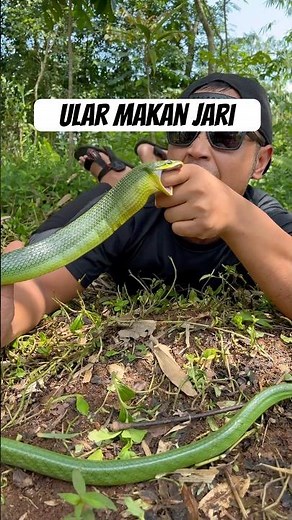 Snake eat finger 🥲 #snake