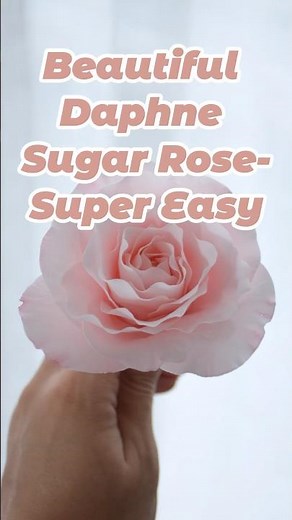Beautiful Daphne Sugar Rose – Super Easy!