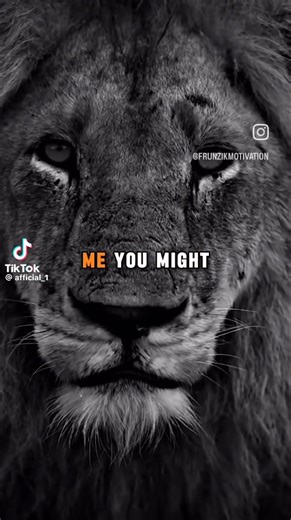 tigerlilly on TikTok