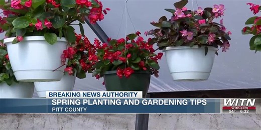 Spring Planting and Gardening Tips