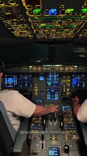 A330 Landing Cockpit View ✈️