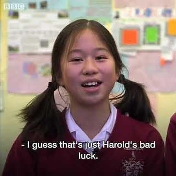Bayeux Tapestry explained by kids