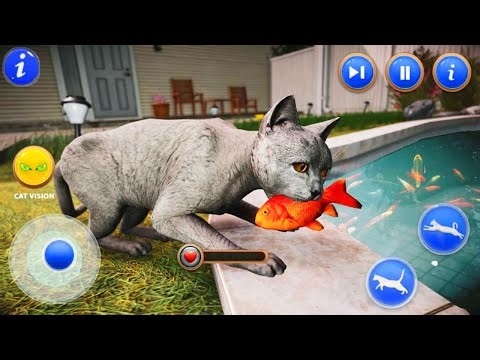 Pet Cat Simulator Game 2025 Gameplay | Cute Cat Life Simulator Android | Furrio Games