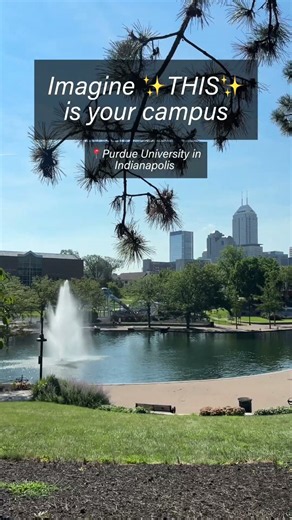 The Common App is open NOW!