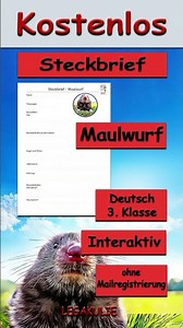 Steckbrief Maulwurf 3.Klasse Deutsch - kostenlos von Legakulie.info #shorts #tiere #biology #gratis