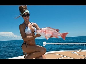 West coast Florida RED SNAPPER FISHING Madness! part 1