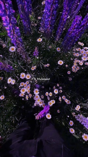 Ik Mulakaat Mein Baat Hi Baat Mein || #trending #lyics #shorts