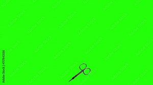 Animated Scissor cutting and moving on the green screen chroma key Stock Video