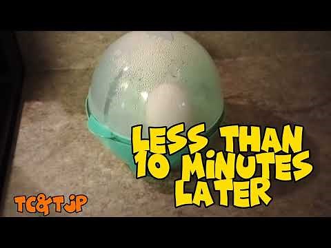 How to make soft boiled eggs with Egg Cooker