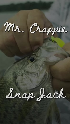 Mr. Crappie has some of the best-kept secrets in crappie fishing lures today! Over the past 25 years, Wally Marshall has been honing his skills and knowledge to bring you the best crappie lures money can buy. Click the link below to view more of the Mr. Crappie Snack Jack:https://www.youtube.com/watch?v=wjHIkd0hZao#mrcrappie #crappiefishing #crappiebait #crappie #fishing #springfishing #crappielife #fishingforslabs #snapjack | Crappie NOW