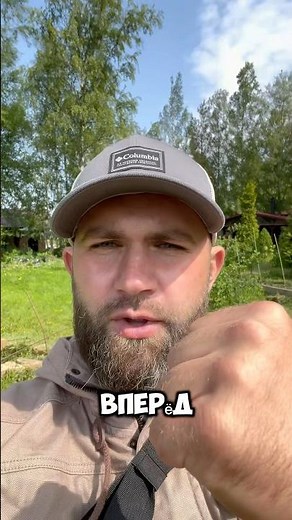 How to rejuvenate an old apple tree