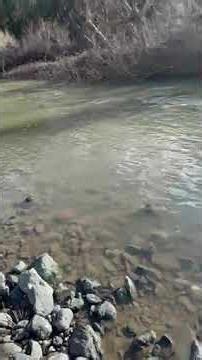 Video of Thousand Trails Russian River, CA from Rey R.