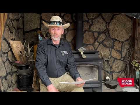 Logged In - March 1-7, 2026 - Week in Review