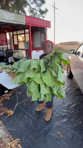 J and J Martins Farm Produce on Reels