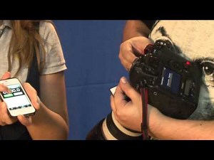 Левые Transcend Compact Flash (CF) 600x против нормальных