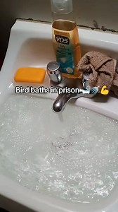 Bird baths in prison🚿🧼 | Felon Love Unchained