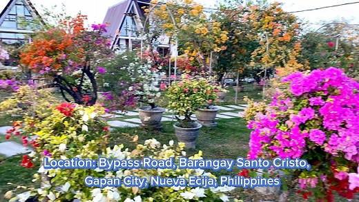Casa Batik is the newest pet-friendly tourist attraction in Gapan City, Nueva Ecija, Philippines. It is a vast garden (8 hectares), a nursery selling potted Bougainvilleas and it has an in-house café serving delicious meals, snacks and refreshing drinks. They also have villas that you can rent with mini pools. The rates of the villas range from 6,000-10,000 Pesos depending on the size of the accommodation. The entrance fee at Casa Batik is 100 Pesos. They are open from 1:00 p.m to 7:00 p.m. on w
