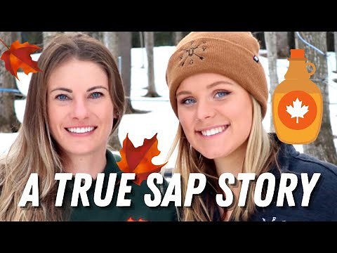 TAPPING 32,000 TREES