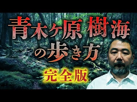 [All about the Sea of Trees] Japan's largest mystery spot, Aokigahara Sea of Trees! Professor Ram...
