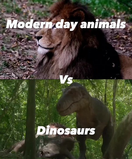 Modern day animals vs dinosaurs #modern #animals #vs #versus #fight #debate #battle #1v1 #dino #dinosaur #dinosaurs #bengal #tiger #lion #trex #fy #fyp #fypシ #fyppppppppppppppppppppppp #fypage #foryou #viral #viralvideo #trending