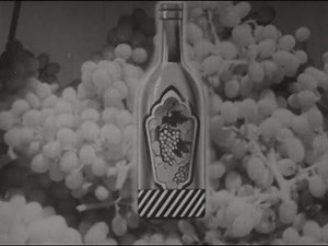 Alcohol and the Human Body (1949)