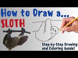 How To Draw A Sloth - Fun & Easy Step-by-Step Drawing and Coloring Guide