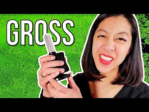 How to Clean a Sponge Filter + 3 Bonus Tips