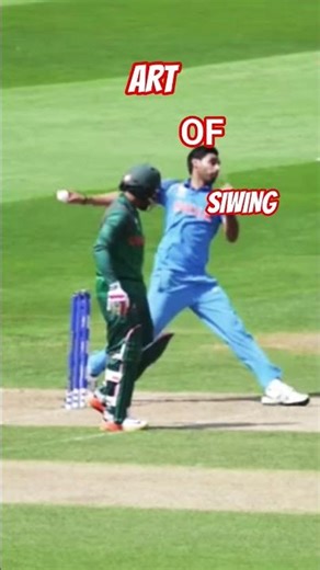 #music #The art of sewing #cricket