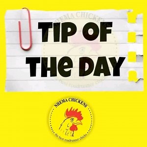 The Importance of Proper Lighting in Poultry Farming 🐓💡 ⚡Lighting plays a crucial role in the health, growth, and productivity of chickens. 🌄A well-lit chicken house is essential for the birds' overall well-being, as it affects their behavior, feeding, laying, and sleeping patterns. 🌞 Why Chickens Need Specific Lighting 🔦 ⚡Chickens are highly sensitive to light and require specific lighting conditions to thrive. ⚡Proper lighting helps regulate their biological rhythms, encourages growth and