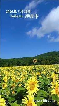 Song of the Sun🌻Abashiri City, Hokkaido