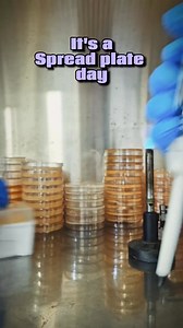 Microbiology- Spread plate method. #reelsviralシ #fbreelsfypシ゚ #viralvideoシ #viralreelsfacebook #reelstrending #viralreelschallenge #bdreels #reelsfacebook #reelschallenge #science | Microbiologist BD