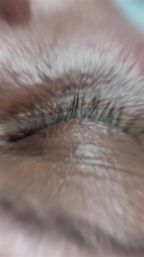 Face_Magic on TikTok