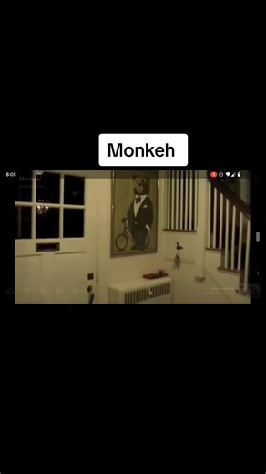 Monkey!!! this video still makes me laugh 🤣#monkeymeme #monkey!!#funnyyt #viralvideos #youtubeclassic #fypシ #fyp