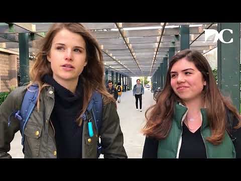 What Do CS Majors Think of the UC Berkeley CS Department?