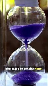 Why Humans Can’t Feel Time | The Brain’s Time Illusion #time #humanbrain