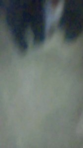 #fb #comedy #funny #viral | M Sanni