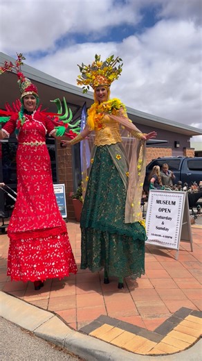 Entertainers at 2025 Reynoldson Reserve Wildflower Festival at The Station Wongan Hills Community Resource Centre | Design&Duplicate