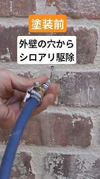 外壁塗装前のシロアリ対策 #シロアリ駆除 #シロアリ予防 #塗装職人 #外壁塗装
