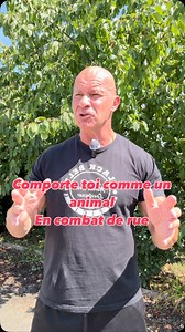 Lors d’une agression, 90% des gens réagissent mal… parce qu’ils pensent comme tout le monde. Résultat : ils se mettent en danger inutilement. Dans cette vidéo, je vais t’expliquer pourquoi adopter l’instinct de survie d’un animal tout en gardant l’intelligence de l’humain peut faire toute la différence. 🔥 Et le jeudi 21 août à 20h45, je te donne rendez-vous pour une conférence 100% gratuite et en ligne. 👉 Tu y découvriras : • Ma méthode pour rester lucide et réagir efficacement sous stress • L