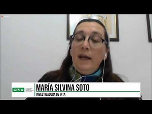 Techos verdes sustentable en CABA